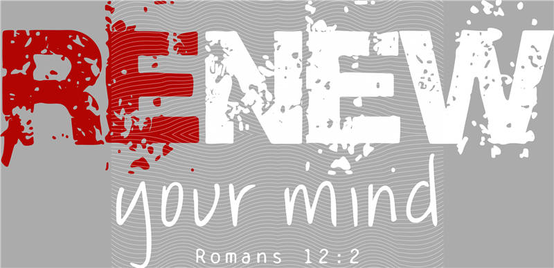 latest edition-KNY 540